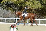 HHB-DressageFinals-11-8-13-0623-DDeRosaPhoto