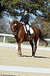 HHB-DressageFinals-11-8-13-0626-DDeRosaPhoto