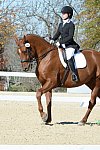 HHB-DressageFinals-11-8-13-0627-DDeRosaPhoto