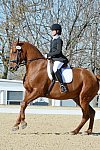 HHB-DressageFinals-11-8-13-0629-DDeRosaPhoto