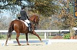 HHB-DressageFinals-11-8-13-0632-DDeRosaPhoto