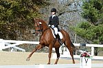 HHB-DressageFinals-11-8-13-0633-DDeRosaPhoto