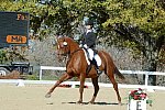 HHB-DressageFinals-11-8-13-0635-DDeRosaPhoto