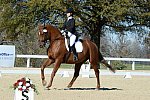 HHB-DressageFinals-11-8-13-0637-DDeRosaPhoto