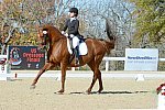 HHB-DressageFinals-11-8-13-0638-DDeRosaPhoto