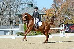 HHB-DressageFinals-11-8-13-0639-DDeRosaPhoto