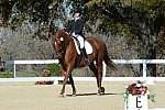 HHB-DressageFinals-11-8-13-0642-DDeRosaPhoto