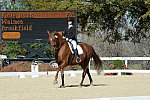 HHB-DressageFinals-11-8-13-0643-DDeRosaPhoto