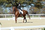 HHB-DressageFinals-11-8-13-0647-DDeRosaPhoto