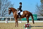 HHB-DressageFinals-11-8-13-0651-DDeRosaPhoto