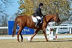 HHB-DressageFinals-11-8-13-0654-DDeRosaPhoto