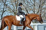 HHB-DressageFinals-11-8-13-0655-DDeRosaPhoto