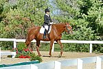 HHB-DressageFinals-11-8-13-0656-DDeRosaPhoto