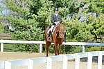 HHB-DressageFinals-11-8-13-0657-DDeRosaPhoto