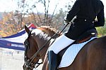 HHB-DressageFinals-11-8-13-0682-DDeRosaPhoto