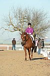 HHB-DressageFinals-11-9-13-2111-DDeRosaPhoto