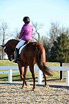 HHB-DressageFinals-11-9-13-2117-DDeRosaPhoto