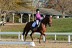 HHB-DressageFinals-11-9-13-2120-DDeRosaPhoto