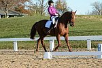 HHB-DressageFinals-11-9-13-2123-DDeRosaPhoto