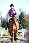HHB-DressageFinals-11-9-13-2126-DDeRosaPhoto