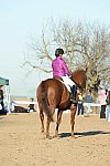 HHB-DressageFinals-11-9-13-2129-DDeRosaPhoto