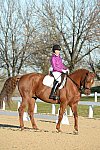 HHB-DressageFinals-11-9-13-2133-DDeRosaPhoto