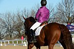 HHB-DressageFinals-11-9-13-2139-DDeRosaPhoto