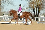 HHB-DressageFinals-11-9-13-2146-DDeRosaPhoto