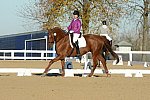 HHB-DressageFinals-11-9-13-2147-DDeRosaPhoto
