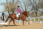 HHB-DressageFinals-11-9-13-2155-DDeRosaPhoto