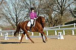HHB-DressageFinals-11-9-13-2156-DDeRosaPhoto