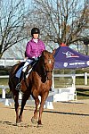 HHB-DressageFinals-11-9-13-2162-DDeRosaPhoto