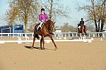 HHB-DressageFinals-11-9-13-2170-DDeRosaPhoto