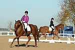 HHB-DressageFinals-11-9-13-2176-DDeRosaPhoto