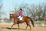 HHB-DressageFinals-11-9-13-2177-DDeRosaPhoto