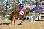 HHB-DressageFinals-11-9-13-2180-DDeRosaPhoto