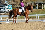 HHB-DressageFinals-11-9-13-2184-DDeRosaPhoto