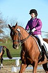 HHB-DressageFinals-11-9-13-2185-DDeRosaPhoto