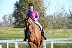 HHB-DressageFinals-11-9-13-2189-DDeRosaPhoto