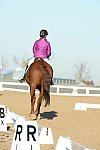 HHB-DressageFinals-11-9-13-2191-DDeRosaPhoto