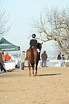 HHB-DressageFinals-11-9-13-2213-DDeRosaPhoto