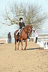 HHB-DressageFinals-11-9-13-2215-DDeRosaPhoto