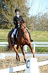 HHB-DressageFinals-11-9-13-2219-DDeRosaPhoto