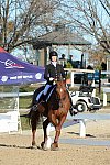 HHB-DressageFinals-11-9-13-2230-DDeRosaPhoto