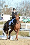 HHB-DressageFinals-11-9-13-2232-DDeRosaPhoto