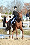 HHB-DressageFinals-11-9-13-2233-DDeRosaPhoto