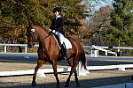 HHB-DressageFinals-11-9-13-2255-DDeRosaPhoto