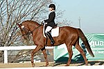 HHB-DressageFinals-11-9-13-2258-DDeRosaPhoto
