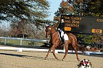HHB-DressageFinals-11-9-13-2266-DDeRosaPhoto