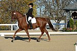 HHB-DressageFinals-11-9-13-2271-DDeRosaPhoto